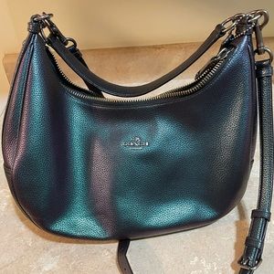 Chameleon Coach Bag